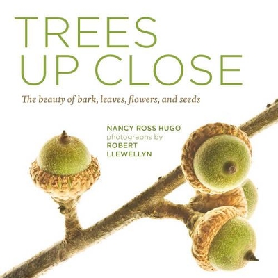 TREES UP CLOSE : THE BEAUTY OF BARK LEAVES  FLOWERS ANS SEED