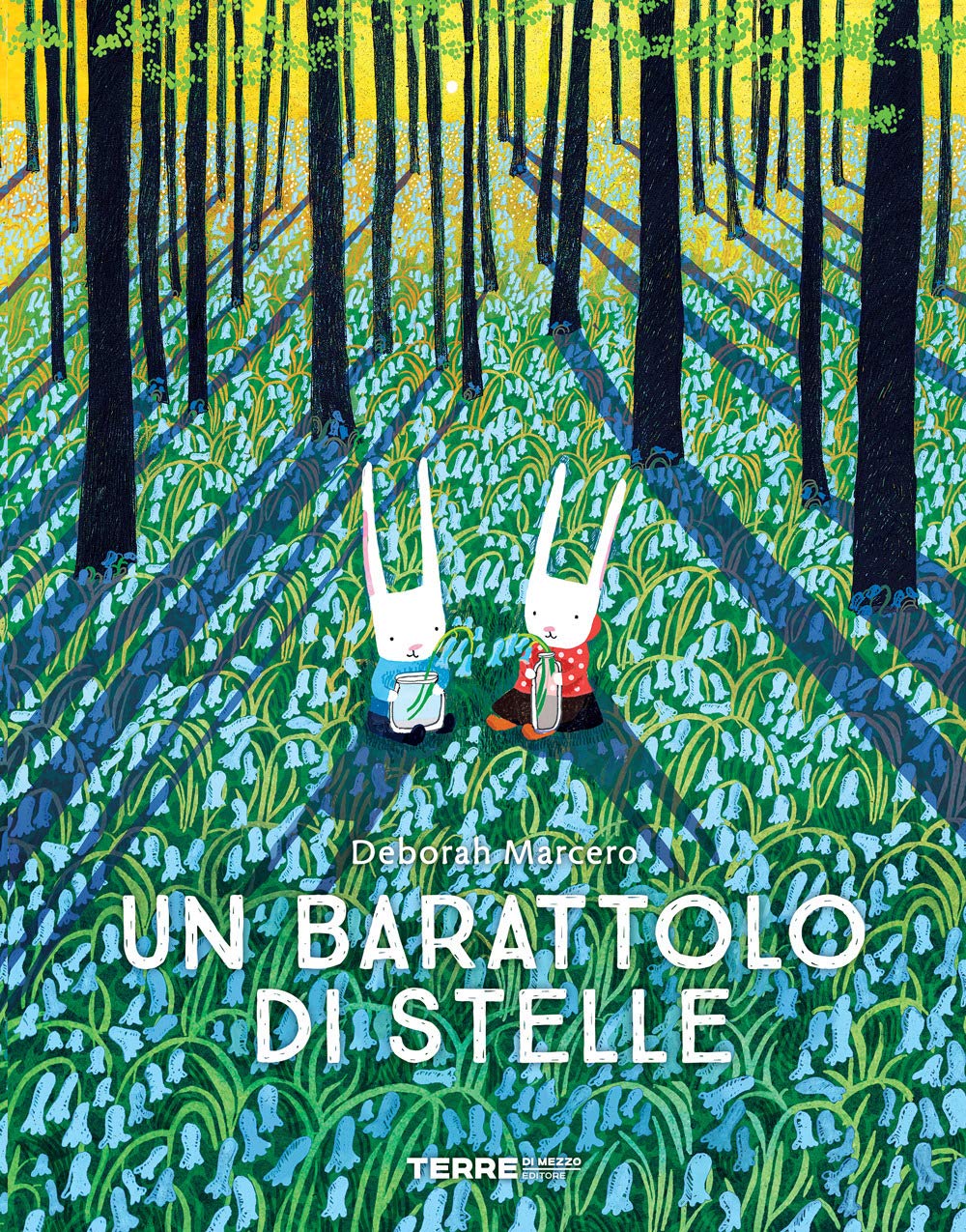 Un Barattolo di Stelle (hardcover)