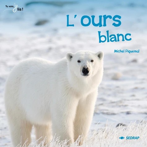 L'Ours Blanc