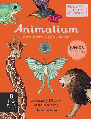 Welcome To The Museum: Animalium (Junior Edition) - Jenny Br