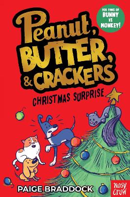 CHRISTMAS SURPRISE : A PEANUT BUTTER   CRACKERS STORY - PAIG