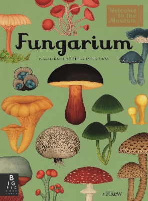 WELCOME TO THE MUSEUM: FUNGARIUM - ROYAL BOTANIC GARDENS KEW
