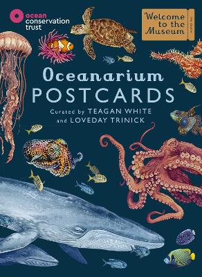 WELCOME TO THE MUSEUM: OCEANARIUM POSTCARDS - LOVEDAY TRINIC