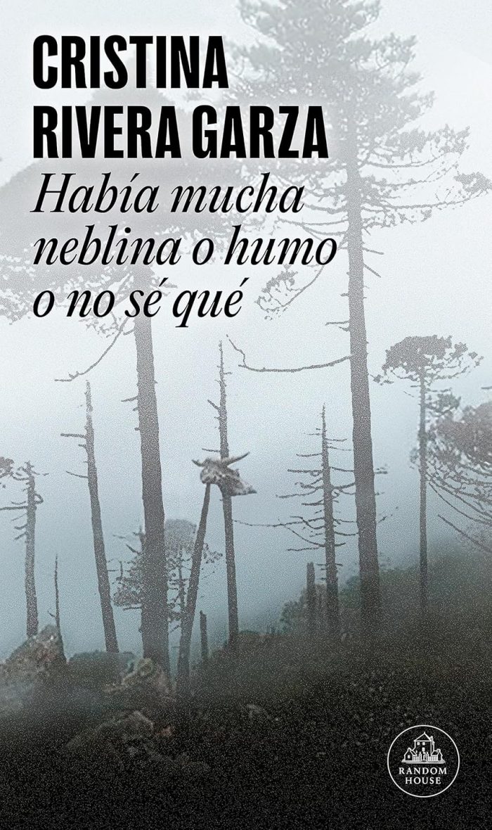 Habia Mucha Neblina o Humo o no Se Que Habia Mucha Neblina o Humo o no Se Que