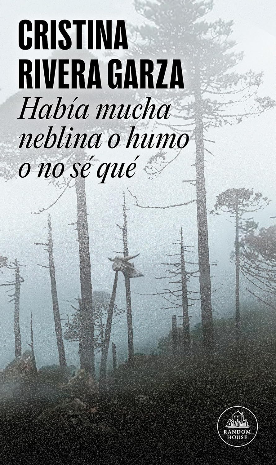 Habia Mucha Neblina o Humo o no Se Que