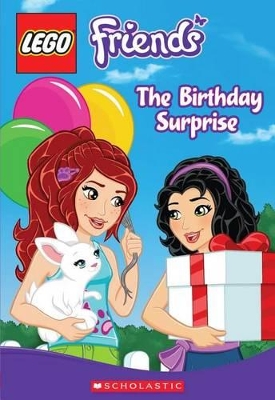LEGO FRIENDS : THE BIRTHDAY SURPRISE PB - TRACEY WEST