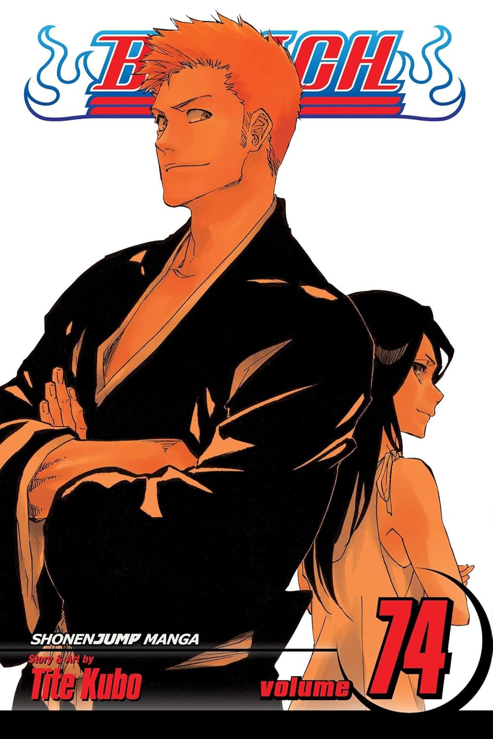 Bleach Vol. 74: The Death and the Strawberry
