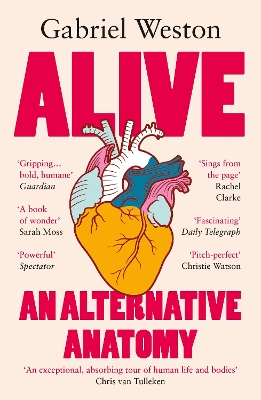 ALIVE : AN ALTERNATIVE ANATOMY PB - GABRIEL WESTON
