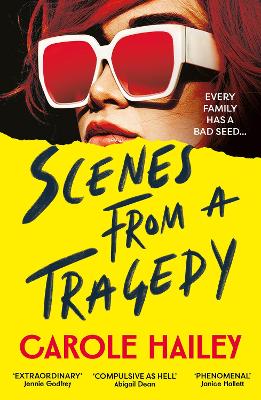 SCENES FROM A TRAGEDY PB - CAROLE HAILEY