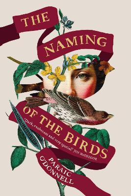 THE NAMING OF THE BIRDS PB - PARAIC ODONNELL