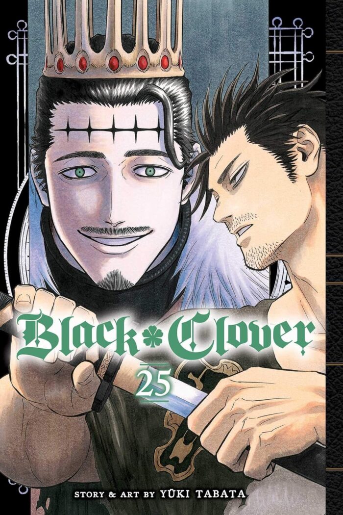Black Clover Vol. 25: Humans and Evil Black Clover Vol. 25: Humans and Evil