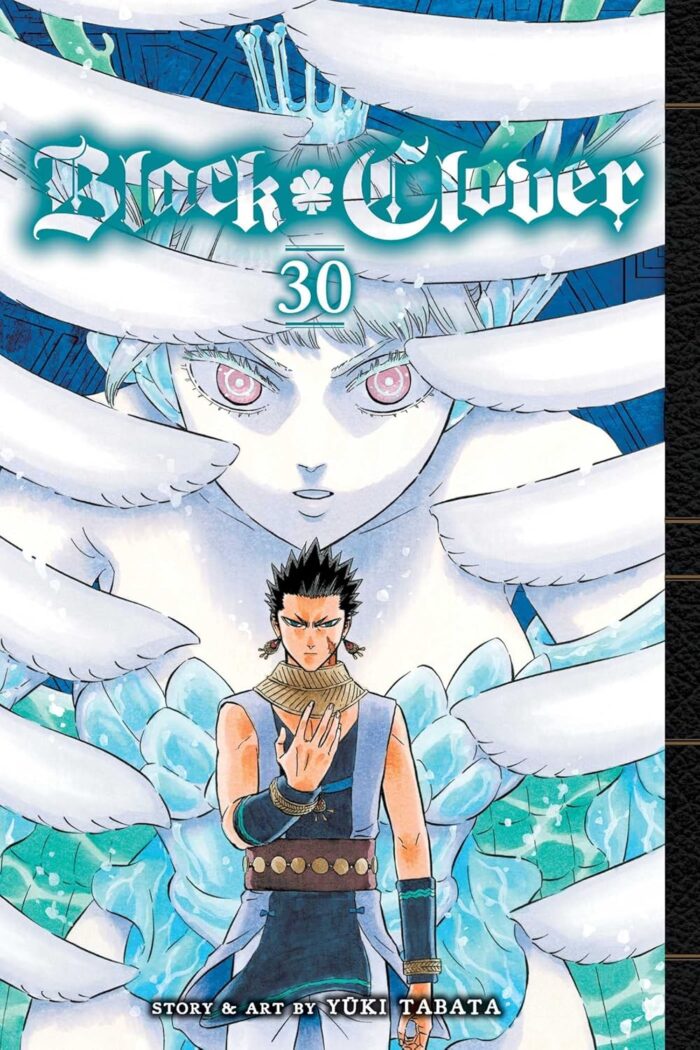 Black Clover Vol. 30: Glad Tidings Black Clover Vol. 30: Glad Tidings