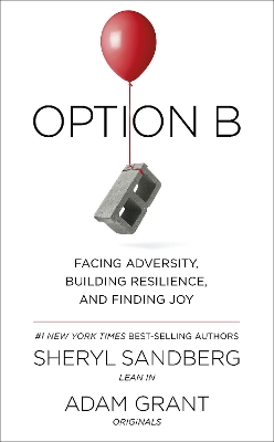 OPTION B : FACING ADVERSITY  BUILDING RESILIENCE AND FINDING