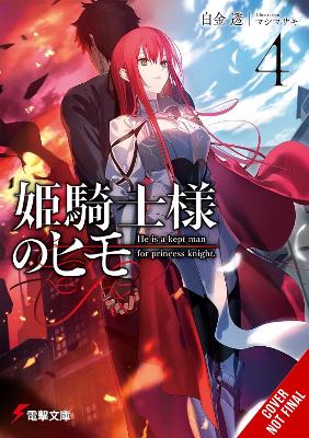 The Kept Man Of The Princess Knight Vol. 4 - Toru Shirogane