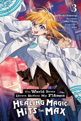 The World Bows Down Before My Flames Vol. 3 (novel) - Hiyoko