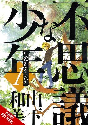 Wonder Boy Vol. 1 HC - Kazumi Yamashita Giuseppe Di Martino