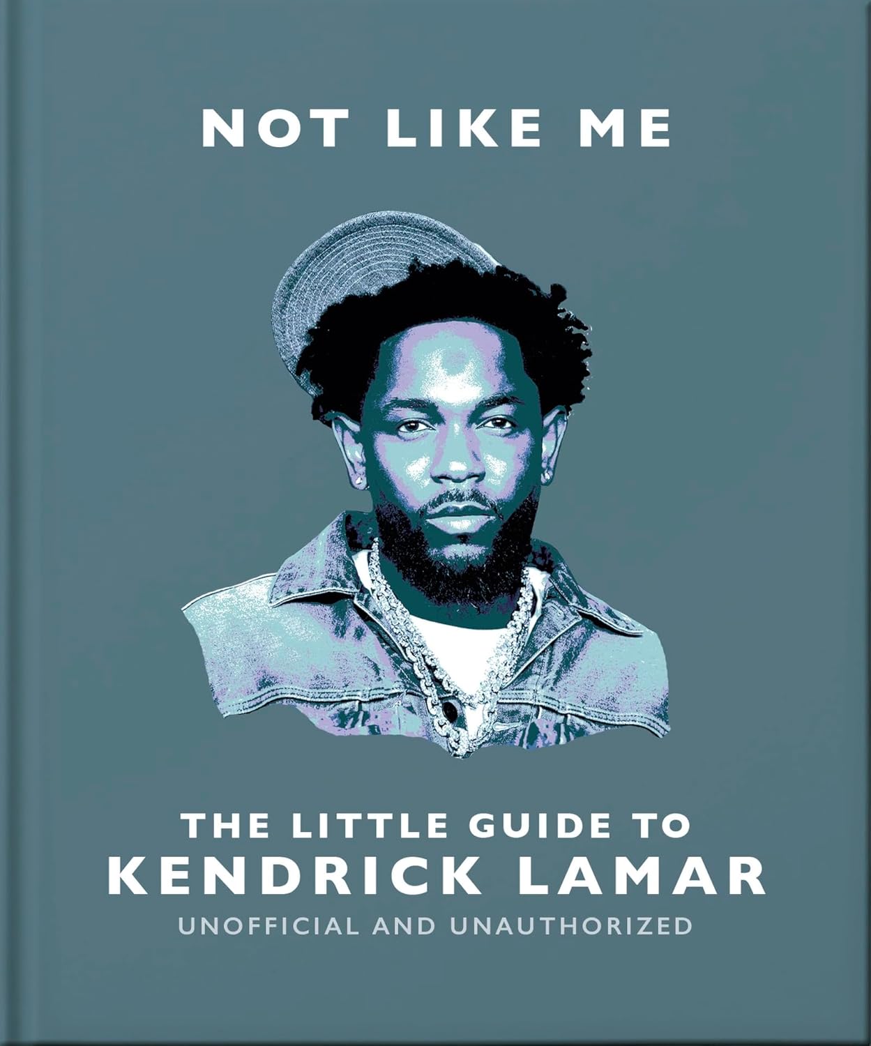 The Little Guide to Kendrick Lamar Not Like Me