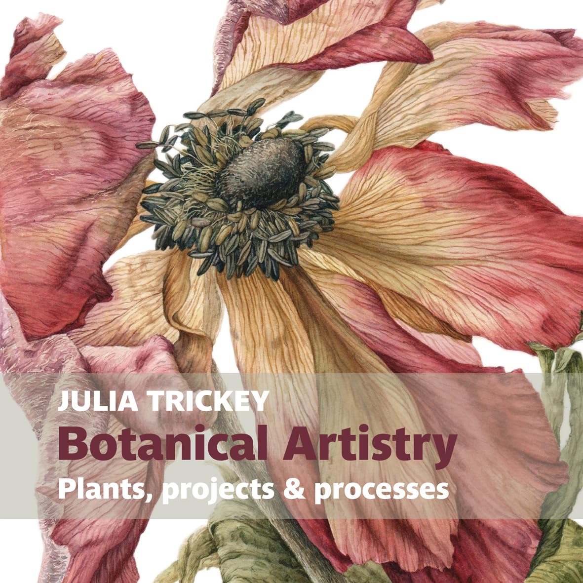 Botanical Artistry: Plants, Projects & Processes