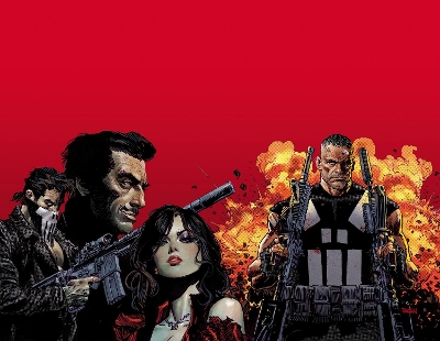 MARVEL KNIGHTS: PUNISHER    PB - JIMMY PALMIOTTI-DAN PANOSIA