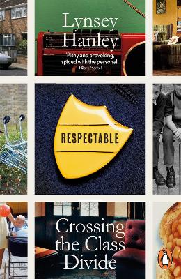 PENGUIN ORANGE SPINES : RESPECTABLE PB - LYNSEY HANLEY