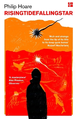 RISING TIDE FALLING STAR PB - PHILIP HOARE