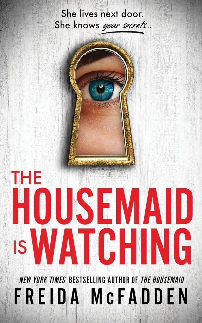 The Housemaid Is Watching The Housemaid Is Watching