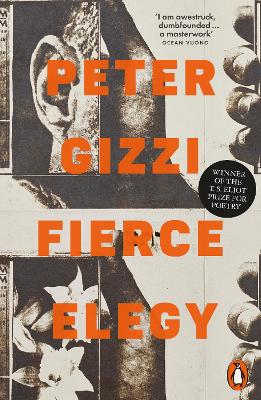 PENGUIN ORANGE SPINES : FIERCE ELEGY PB - PETER GIZZI