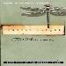 THE DRESDEN FILES 4: SUMMER KNIGHT PB A FORMAT - JIM BUTCHER