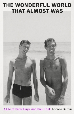 THE WONDERFUL WORLD THAT ALMOST WAS : A LIFE OF PETER HUJAR