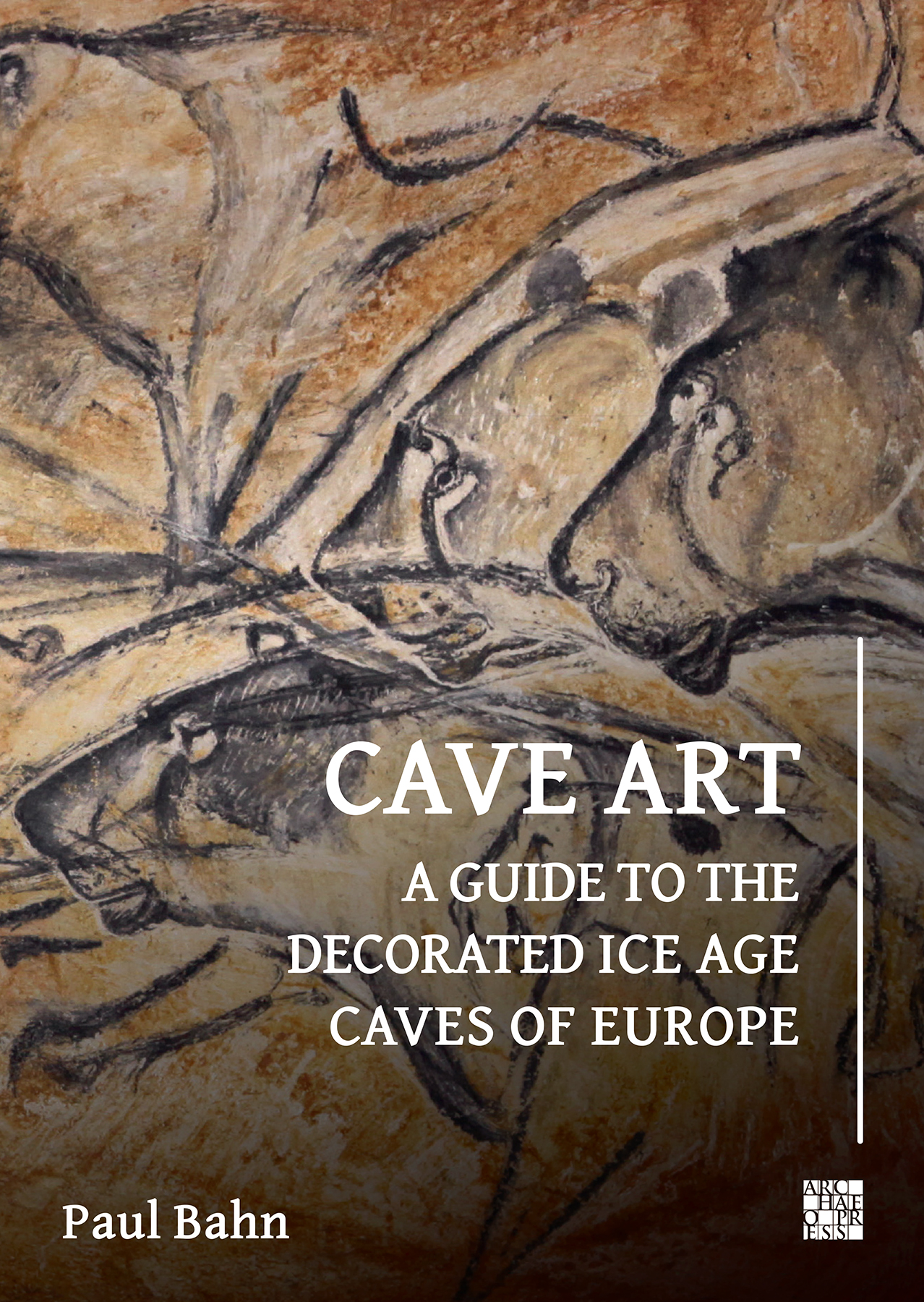 Cave Art A Guide to the Decorated Ice Age Caves of Europe