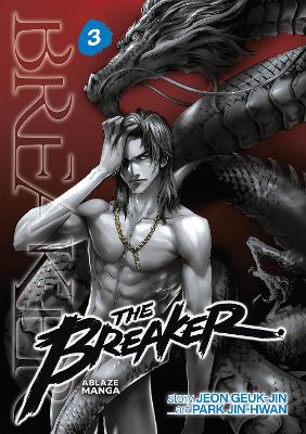 BREAKER OMNIBUS VOL 3 PB - PARK JIN-HWAN