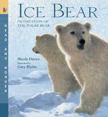 ICE BEAR: READ AND WONDER: IN THE STEPS OF THE POLAR BEAR -