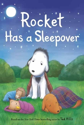 ROCKET HAS A SLEEPOVER - TAD HILLS